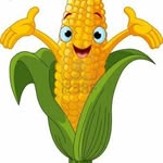 barry the sweat corn - @barry_the_sweat_corn_gang - Instagram