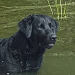Barry Covert - @barryjcovert - Instagram