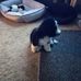 Barry Coy - Facebook