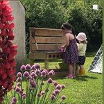 Barry Coyle - @bncoyle - Instagram