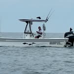 Barry Cribb - @barrycribb - Instagram