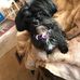 Barry Crites - Facebook