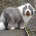 Barrie Croft - Facebook