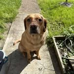 Barrie Croucher - @barrie.croucher - Instagram