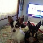 Cynthia Barry Crowe - @cynthiacrowe - Instagram
