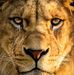 Barry Crump - Facebook