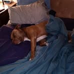 Barry Crump - Facebook