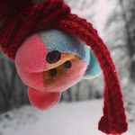Barry - @barry_cuddlestone1 - Instagram
