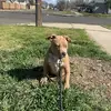 barryjcummins - @barryjcummins - TikTok