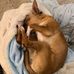 Barry Cupp - Facebook
