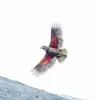 Barry Cuthbert387 - @barrycuthbert0 - TikTok