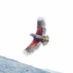 Barry Cuthbert - @barry.cuthbert - Instagram