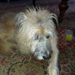 Barry Cutler - @barry.cutler.792 - Instagram