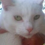 Barry Dalton - @barry.dalton.90 - Instagram