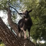 Barry Daly - @barry_daly69 - Instagram