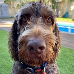 Barry Daly - @richbazdaly - Instagram