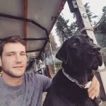 Barry Daly - @bardaly - Instagram
