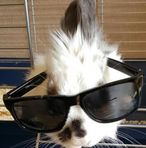 Barry Dammers - Facebook