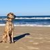 Barry Daniel - Facebook