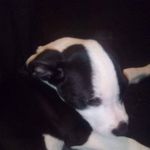 Barry Daniels - @barrydaniels597 - Instagram