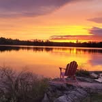 Barry Daub - @barry.daub.50 - Instagram