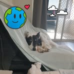 Barry Dixon - Facebook