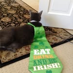 Barry Donohue - @money__man_barry - Instagram