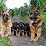 Barry Duggan - @barryd1948 - Instagram