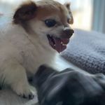 Barry duggan - @barryduggan45 - Instagram