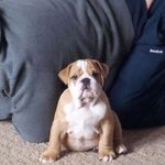 Barry Duggan - @barry.duggan.54 - Instagram