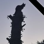 Barry Duggan - @duggan5265 - Instagram