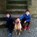 Barry Fitzpatrick - @barryfitz80 - Instagram