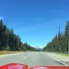 Barry Flint - @barryflint7 - TikTok