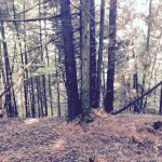 Barry R Forman - @barry_photos - Instagram