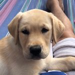 Barry Freeman - @barryfreee - Instagram