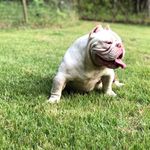 Barry Freeman - @barry.freeman.77985 - Instagram