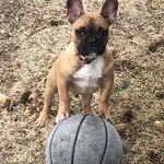 Barry Gallagher - @barrygallagher33 - Instagram