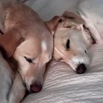 Barry Gallagher Crume - @barrygcrume - Instagram