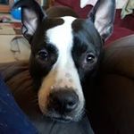 Barry Gamble - @bgamble113 - Instagram