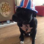 Jsmes Barry gandy - @jsmesbarrygandy - Instagram