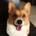 Barry García - @mr_barrygon - Instagram