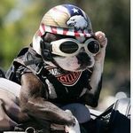 @barrygarcia._ - Instagram