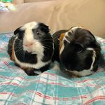 Barry & Garrett - @barryandgarrett - Instagram