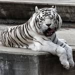 @barrygarzaf9 - Instagram