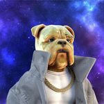 Barry Gates - @barrygates509 - Instagram