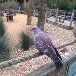 Barry Gates - @barry.gates.710 - Instagram
