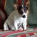 Barry Geary - @barrygeary151 - Instagram