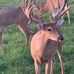 Barry Geib - Facebook