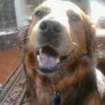 Barry Geiger Jr. - @geigerjr.barry - Instagram