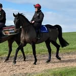Barry Geraghty - @geraghty_barry - Instagram